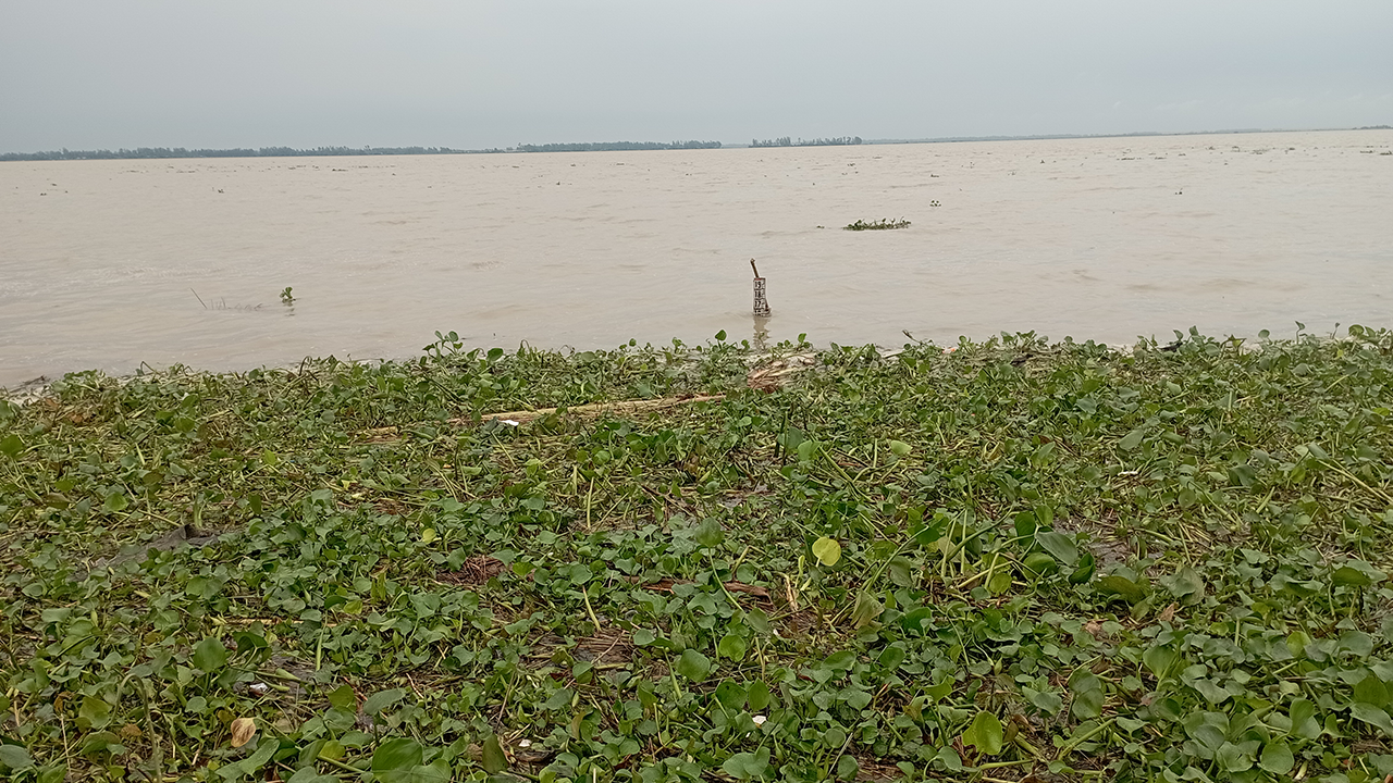 বেড়েই চলেছে যমুনার পানি