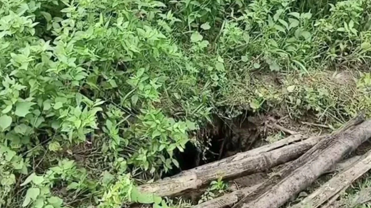 গাইবান্ধায় কবরস্থান থেকে ৩০টি কঙ্কাল চুরি