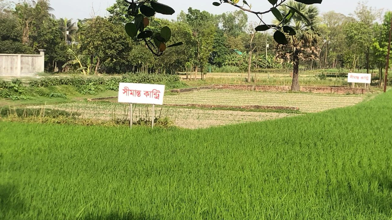 সীমান্ত রিয়েল এস্টেট লিমিটেডের প্রতারণা: অনুমোদনহীন সীমান্ত সিটি ও সীমান্ত কান্ট্রি প্রকল্প