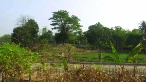 টেকনাফ সীমান্তে গুলির শব্দে উত্তেজনা, রোহিঙ্গা অনুপ্রবেশের চেষ্টা ব্যর্থ