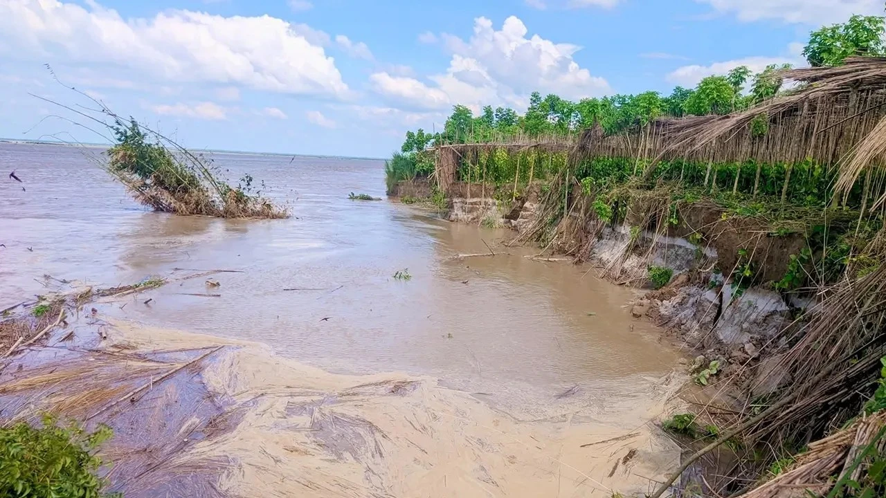 পদ্মার ভাঙনে বিলীন ফসলি জমি ও শ্মশানঘাট