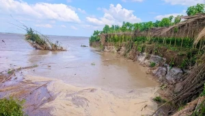 পদ্মার ভাঙনে বিলীন ফসলি জমি ও শ্মশানঘাট