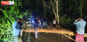 বরগুনায় সড়কে গাছ ফেলে যাত্রীবাহী বাসে দুর্ধর্ষ ডাকাতি, এলাকায় আতঙ্ক