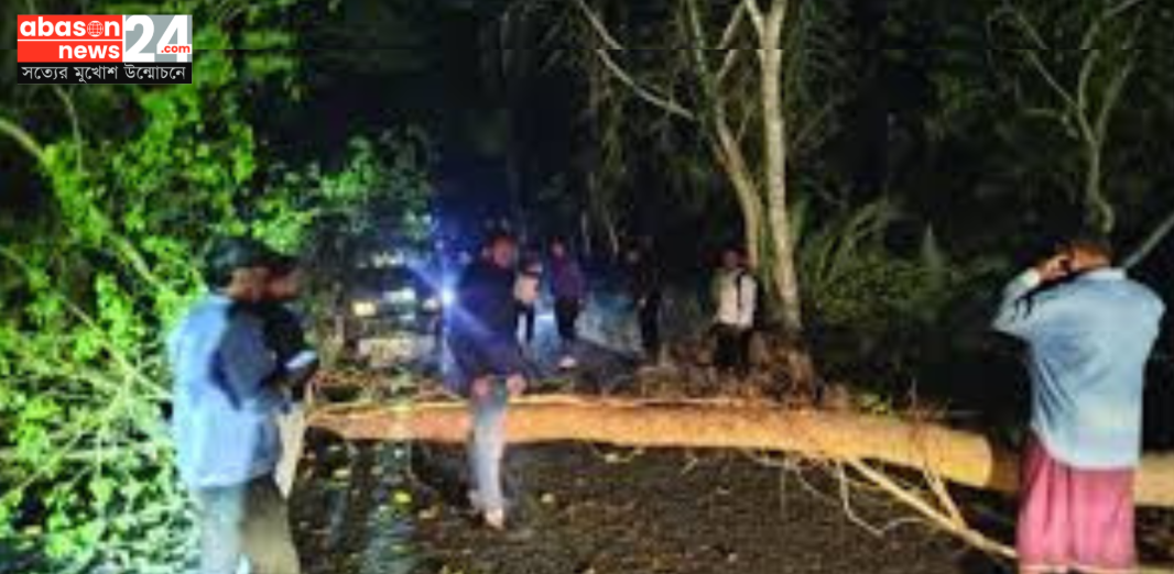 বরগুনায় সড়কে গাছ ফেলে যাত্রীবাহী বাসে দুর্ধর্ষ ডাকাতি, এলাকায় আতঙ্ক