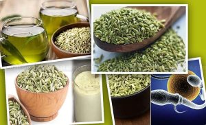 পুরুষদের যৌবন ধরে রাখতে যে সকল খাবার খেতে হয়