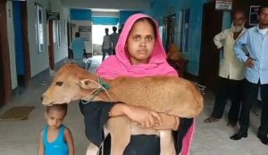 রাজাপুরে বি এন পি নেতার বিরুদ্ধে চাদাবাজির অভিযোগ