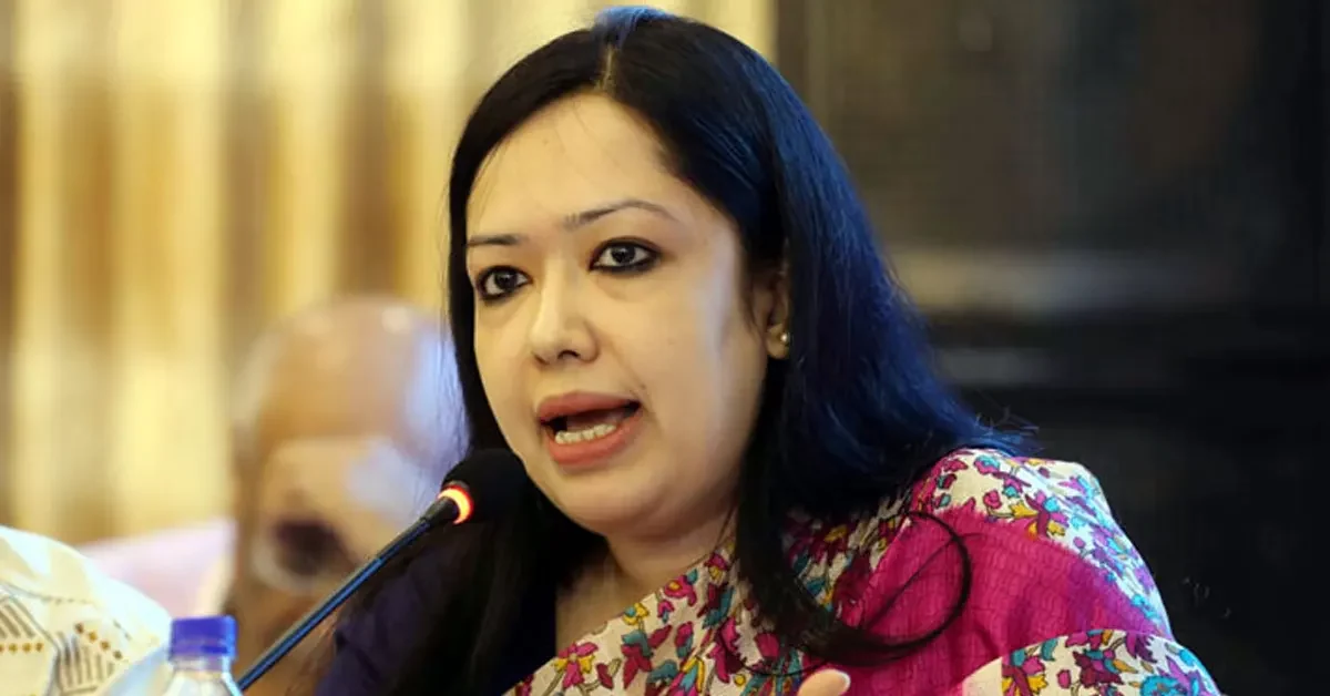 বিএনপি কখনো পাকিস্তানপন্থি বা আওয়ামী লীগকে পুনর্বাসন করেনি রুমিন ফারহানা