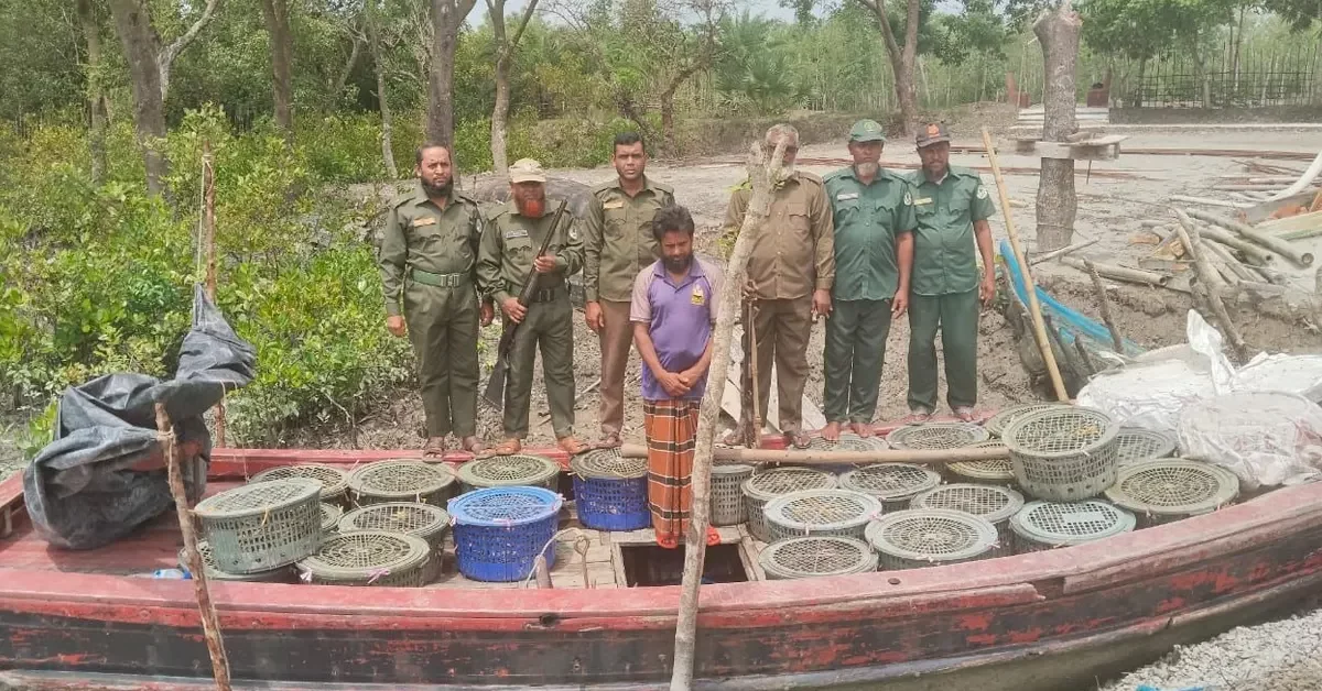 নিষিদ্ধ কাঁকড়া আটক সুন্দরবন