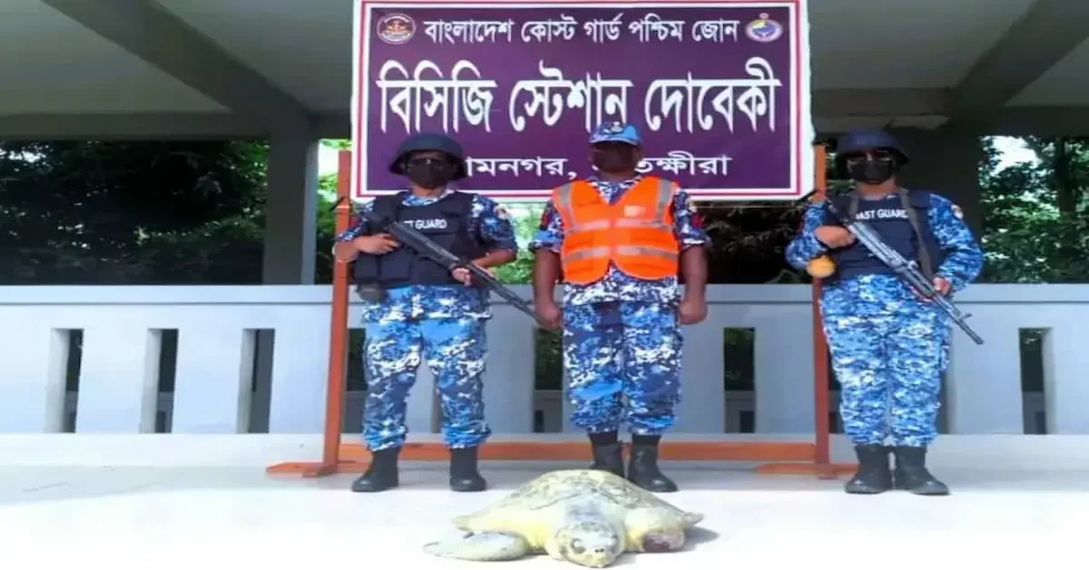 ছবি- পশ্চিম সুন্দরবনে বাংলাদেশ কোস্টগার্ড কর্তৃক আহত কচ্ছপটিকে চিকিৎসা শেষে নদীতে অবমুক্ত করা হচ্ছে। সুন্দরবনের নদী থেকে আহত কচ্ছপ উদ্ধার চিকিৎসা শেষে অবমুক্ত করল কোস্টগার্ড