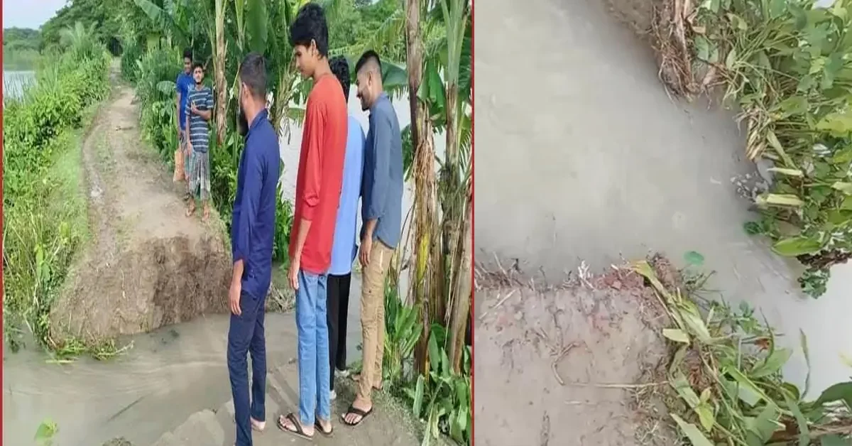 দুমকি উপজেলায় বাঁধ ভেঙে পানিবন্দি শতাধিক পরিবার।