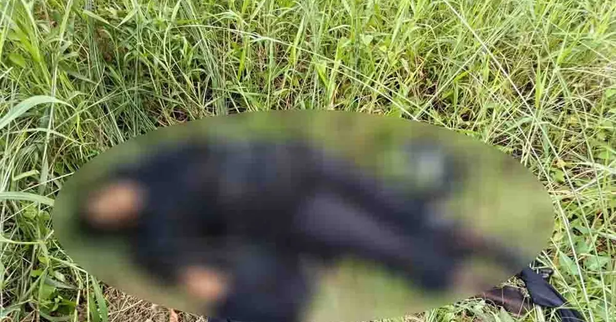 নারায়ণগঞ্জে ভাবিকে কু’পি’য়ে হ’ত্যা থানায় আত্মসমর্পণ করলেন ভাসুর
