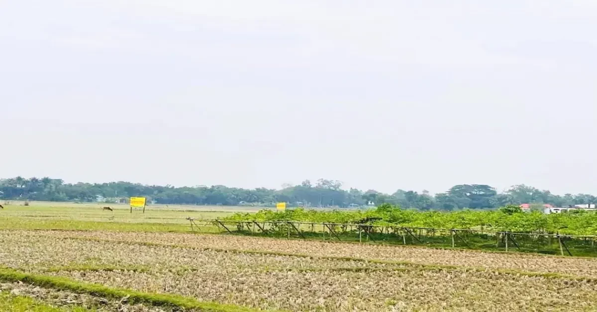 রূপগঞ্জের কৃষিজমির ওপর অনুমতি ছাড়াই সাইনবোর্ড বসিয়ে চলছে অনুমোদনহীন অবৈধ প্রিমিয়াম টাউন প্রকল্পের প্রতারণা। রূপগঞ্জে অনুমোদনহীন ‘প্রিমিয়াম টাউন’ প্রকল্প: প্রিমিয়াম হোল্ডিং লিমিটেডের প্রতারণার ফাঁদে বিনিয়োগকারীরা